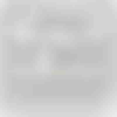 Do mojej przyszłej Żony - Naszyjnik z białego złota 14K z kryształami cyrkonii DIANA