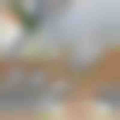 Wielofunkcyjna krajalnica do warzyw | SLICEIEST (4 Ostrza GRATIS)