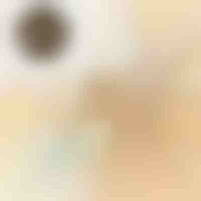 Automatyczna Tocząca się Piłka dla Zwierząt | BALLY 1+1 GRATIS