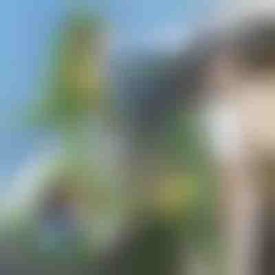 Plecak w Kształcie Dinozaura 3D | DINOBACK