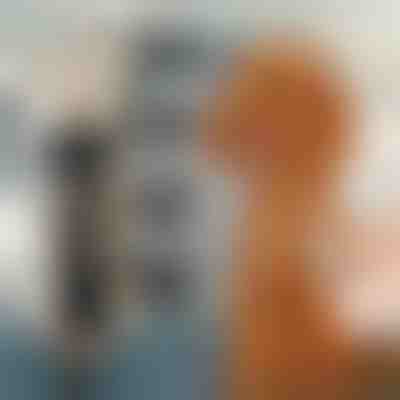 Zestaw do strzyżenia sierści zwierząt | GULAMACHINE