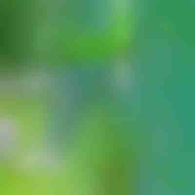 Narzędzie do usuwania chwastów | SPINOUT