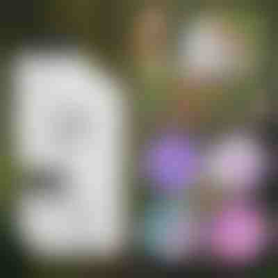 Przenośny mikroskop dla dzieci | MINISCOPE