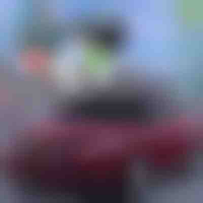 Najlepsza ochrona samochodu na lato! | CARCOVER