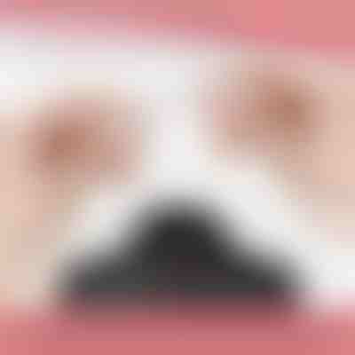 Magnetyczne zapięcie do naszyjnika (12 szt.) | MAGILINK