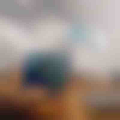 Dwupasmowy wzmacniacz sygnału WiFi | WIFINA