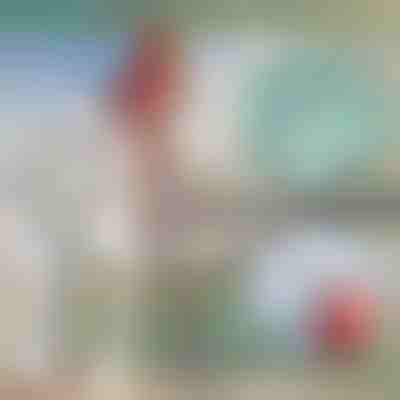 Teleskopowy metalowy bosak | FASTDOCK